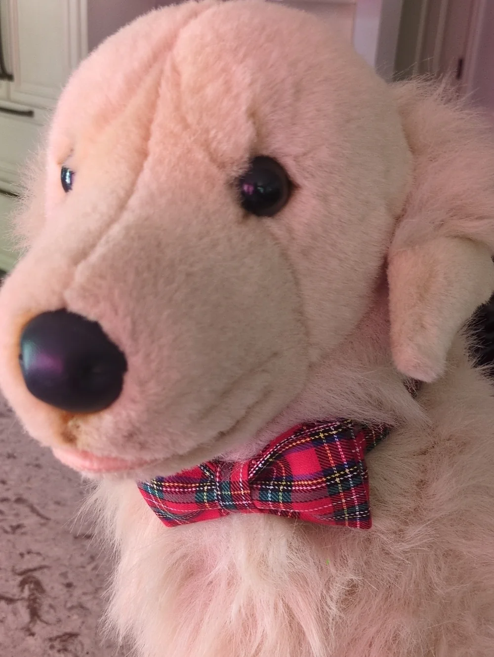 Red Plaid Bowtie Dog Collar